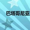 巴塔哥尼亞高原地圖（巴塔哥尼亞高原）
