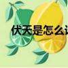 伏天是怎么計算的?（伏天是怎么計算的）