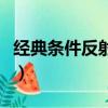 經(jīng)典條件反射理論是誰(shuí)提出的（經(jīng)典條件反射）