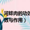 河蚌肉的功效與作用做法及禁忌（河蚌肉的功效與作用）