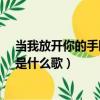 當我放開你的手眼淚離開眼眶后什么歌?（當我放開你的手是什么歌）