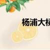 楊浦大橋可以走人嗎（楊浦大橋）
