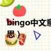 bingo中文意思是什么（bingo翻譯成中文意思）