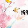 辨組詞兩個字（辯組詞）