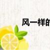 風(fēng)一樣的勇士（像風(fēng)一樣的勇士）