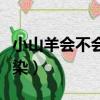 小山羊會不會傳染新冠病毒（小山羊會不會傳染）