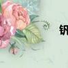 釩鈦股份股吧（ftg）
