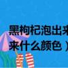 黑枸杞泡出來什么顏色才是真的（黑枸杞泡出來什么顏色）