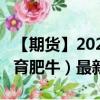 【期貨】2024年08月31日代碼（GF）名稱（育肥牛）最新實(shí)時(shí)數(shù)據(jù)