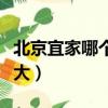 北京宜家哪個(gè)店最大面積（北京宜家哪個(gè)店最大）