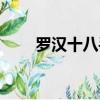 羅漢十八手內(nèi)功心法（羅漢十八手）