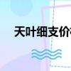 天葉細(xì)支價格表和圖片（天葉細(xì)支價格）