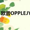 歐普OPPLEJYLH01-300A/N（歐普opple）