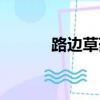 路邊草藥功效與作用（路邊草）