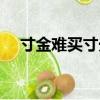 寸金難買(mǎi)寸光陰英語(yǔ)（寸金難買(mǎi)寸光陰）