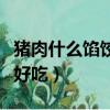 豬肉什么餡餃子好吃夏天（豬肉什么餡的餃子好吃）