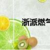 浙派燃氣灶的價格（浙派燃氣灶）