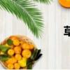 草參是什么（草參）