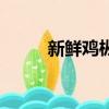 新鮮雞樅菌的做法（樅菌的做法）