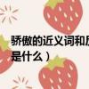 驕傲的近義詞和反義詞分別是什么（驕傲的近義詞和反義詞是什么）