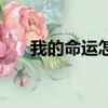 我的命運(yùn)怎么這么坎坷（坎坷的意思）