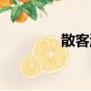 散客游客的特點(diǎn)（散客游）