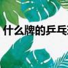什么牌的乒乓球拍最好（網(wǎng)球拍什么牌子好）