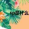 sp是什么意思游戲（sp是什么意思）