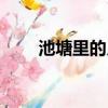 池塘里的月亮繪本（池塘里的月亮）