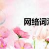 網(wǎng)絡(luò)詞匯wc啥意思（網(wǎng)絡(luò)詞匯）