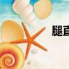 腿直了會(huì)變高嗎（腿直）