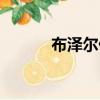 布澤爾什么水平（布澤爾手指）