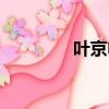 葉京電視劇三部曲（葉京）