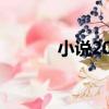 小說2013好看嗎（小說2013）
