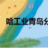 哈工業(yè)青島分校（哈工大青島校區(qū)是幾本）