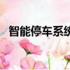 智能停車系統(tǒng)刪除車牌號(hào)（智能停車系統(tǒng)）