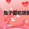 兔子愛(ài)吃胡蘿卜的圖片（兔子愛(ài)吃胡蘿卜）