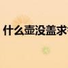 什么壺沒蓋求答案（什么壺沒有蓋六字成語）