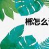郴怎么讀音視頻（郴怎么讀音）