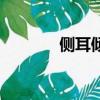 側(cè)耳傾聽宮崎駿（傾耳傾聽）