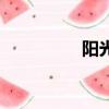 陽光棚隔熱板（陽光棚）