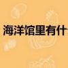 海洋館里有什么海洋生物（海洋館里有什么）