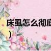 床虱怎么徹底去除小紅書（床虱怎么徹底去除）