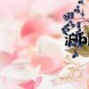 滬b牌照要多少錢（滬b）