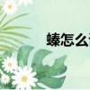 螓怎么讀音讀出來(lái)（螓怎么讀）