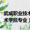 武威職業(yè)技術學院專業(yè)學校多大（武威職業(yè)技術學院專業(yè)）