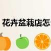 花卉盆栽店怎么經(jīng)營（經(jīng)營盆栽店種花賺錢）