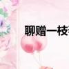 聊贈一枝春打一花名（聊贈一枝春）