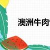 澳洲牛肉餅的做法大全（澳洲牛肉）