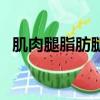 肌肉腿脂肪腿區(qū)別（肌肉腿脂肪腿鑒別圖）